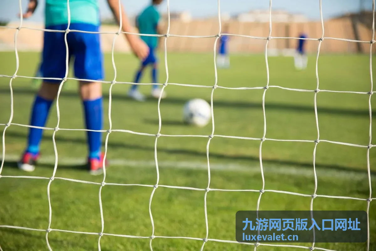 收藏网页版入口地址后在收藏夹中打开的示意界面
