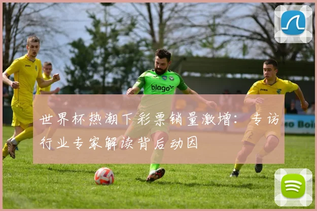 世界杯热潮下彩票销量激增：专访行业专家解读背后动因